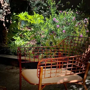  Appartamento Loquat House Nel Giardino Segreto In Zona Vaticano